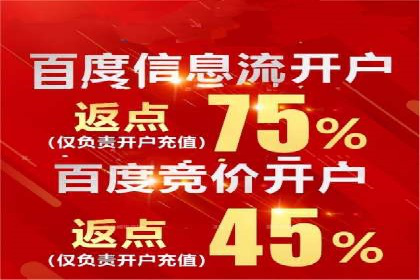 百度推广平台案例剖析：揭秘广告投放策略